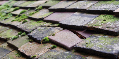 Chesham Vale roof repair costs